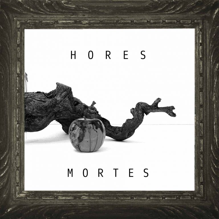 Imagen del proyecto Hores mortes