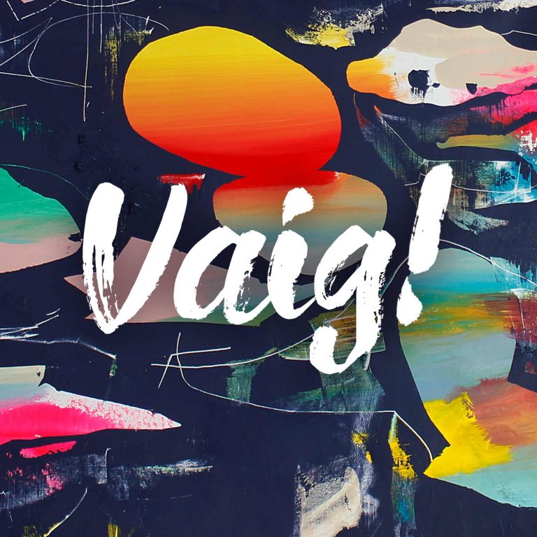 Imagen del proyecto Vaig!